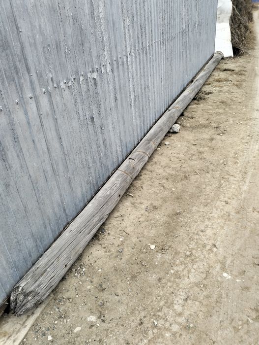 Продам кругляк тастама