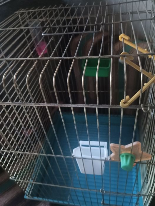 Клетка для птицы и для хомяка