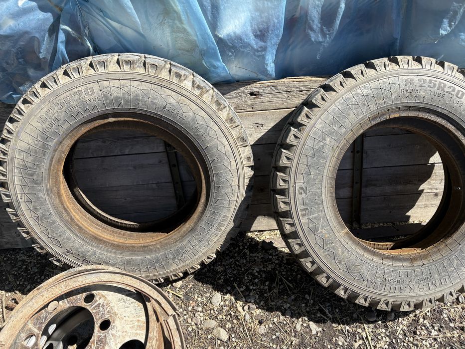 Шины газ 53 8.25R20