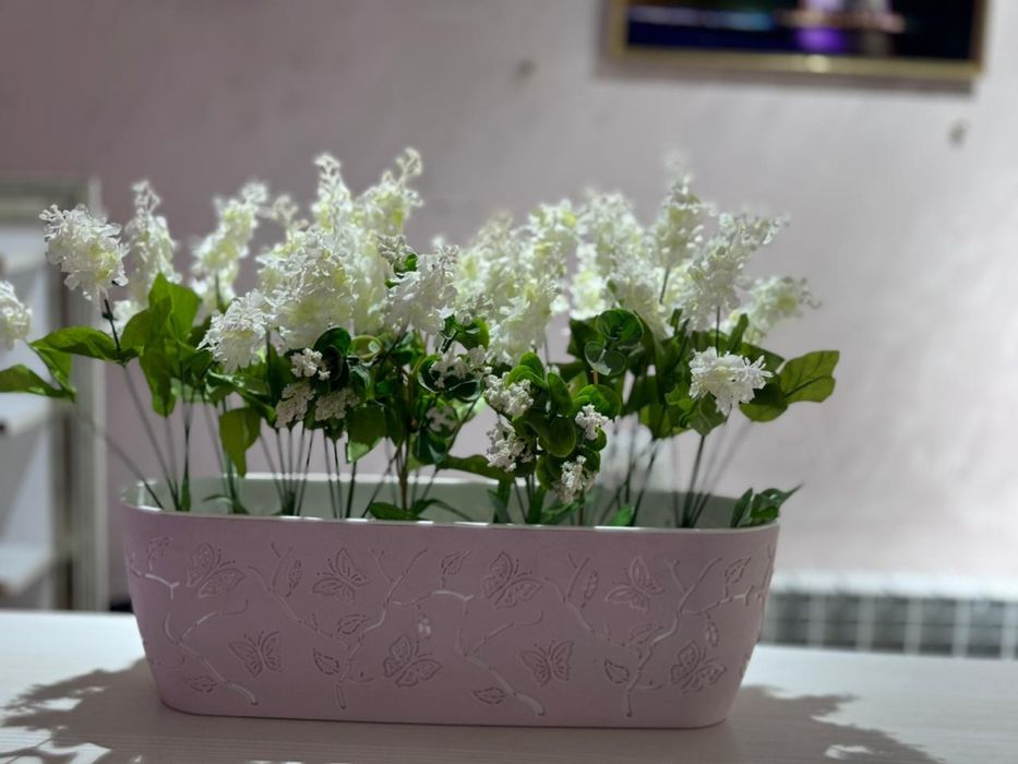 Продам цветы разные, большие