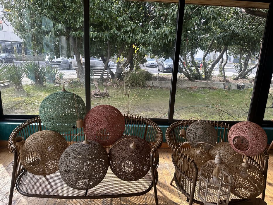 Полилеи различни видове