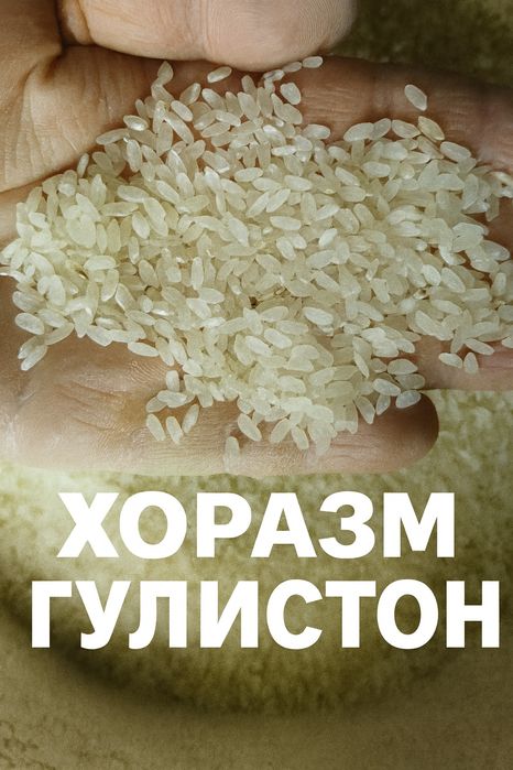 Хоразм гуруч база, оптом, перечисления, Xorazm guruch optom