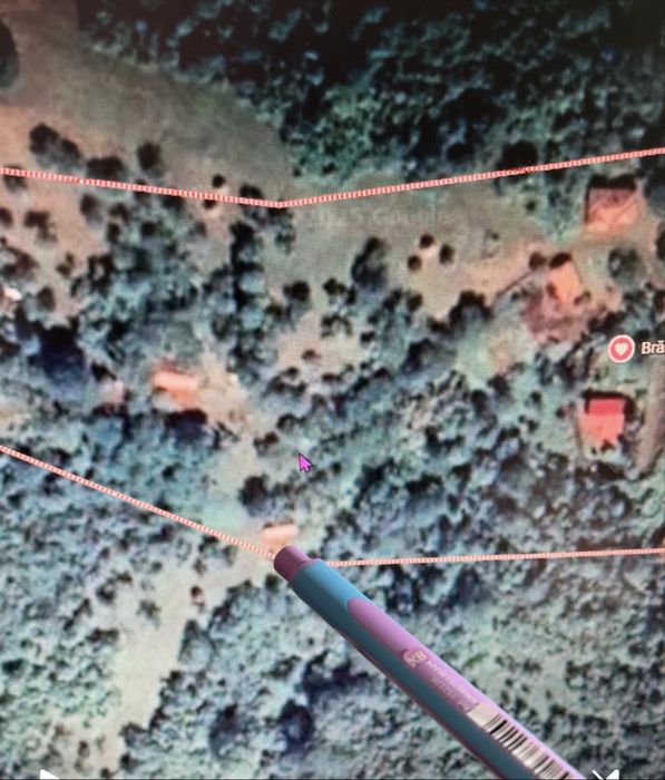 Vind casa, curte 2000 mp, pasune 6 ha, padure 3 ha, Prihodiste, jud HD