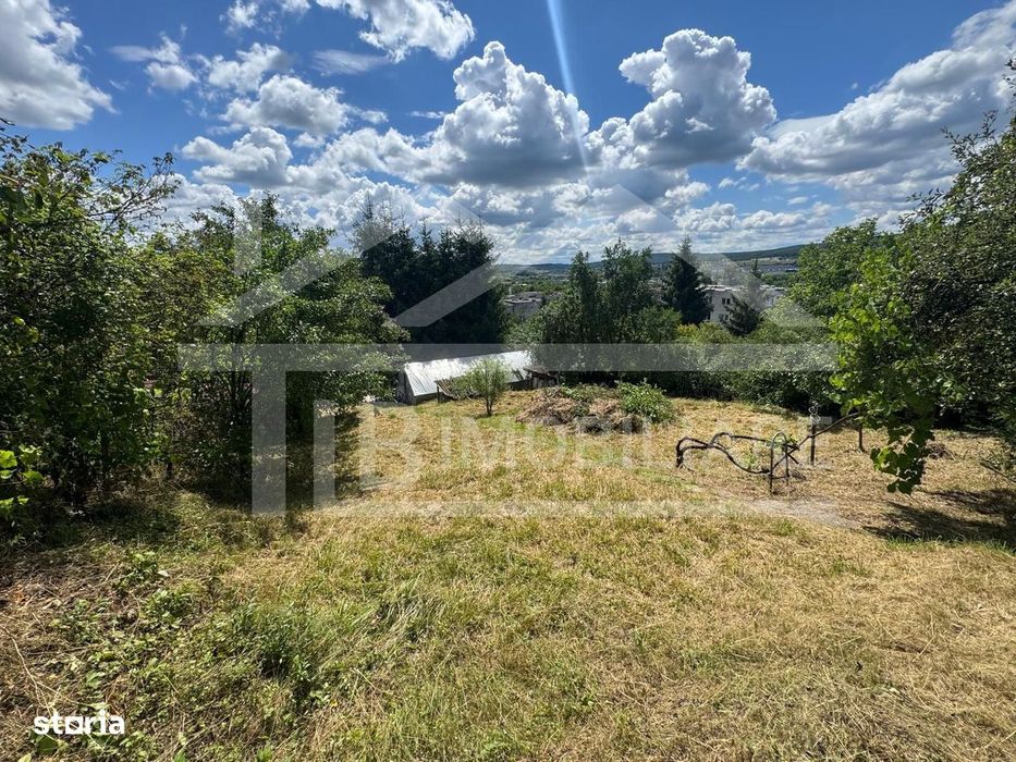 Casa cu 3 camere, 2300mp teren, zona SubPadure