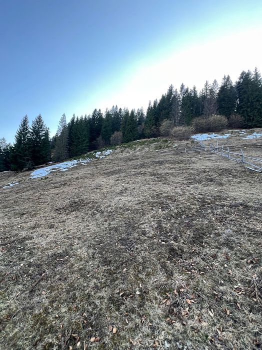 Teren de vânzare Câmpulung Moldovenesc, Izvorul Alb