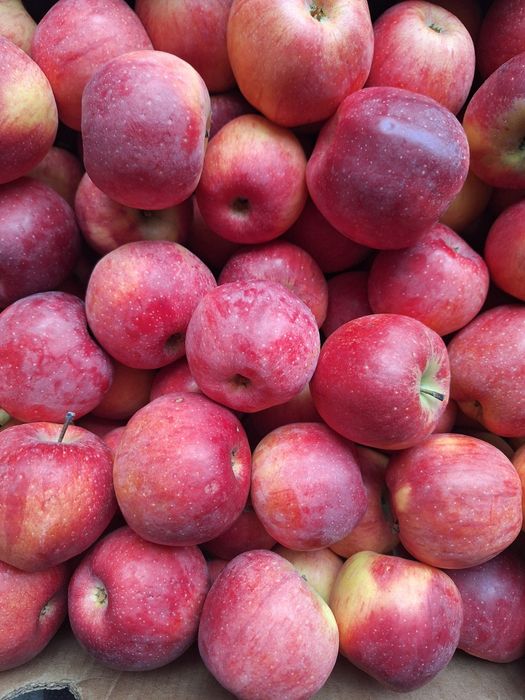 Vand mere  Florina si Idared