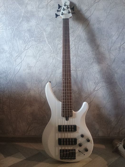 Yamaha trbx 305, peavey max 100