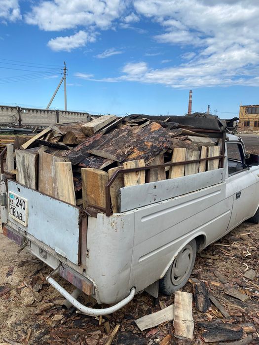 Швырок пирожковой