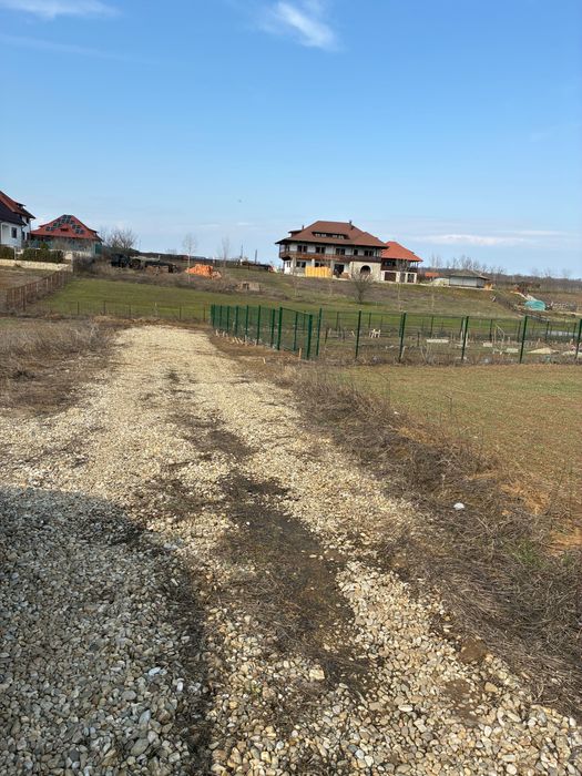 Teren Bălteni (Scroviștea) - Periș 1581 mp