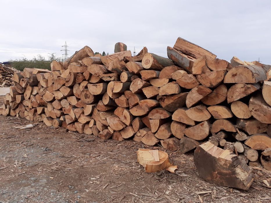 Lemne de foc constanta