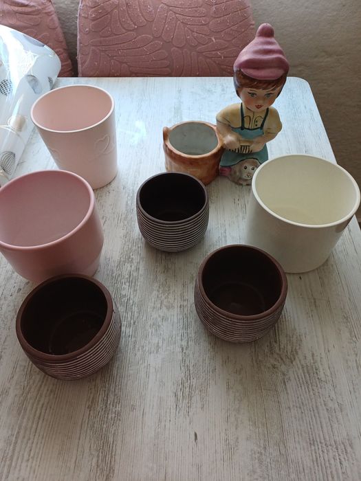 Ghiveci de flori  70 lei pentru toate