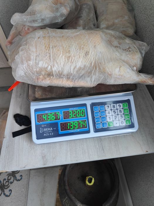 Продам домашних гусей