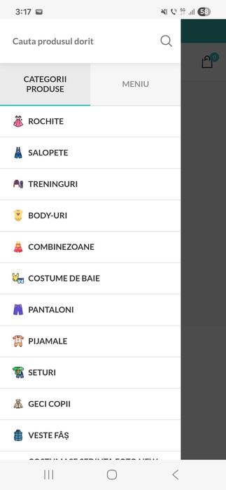 Firma comert on-line haine copii