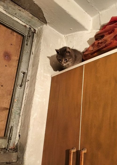 Девочка 6 месяцев стирильная