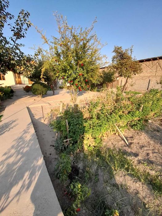 Дом на ул. Кизилсув, Олтинтепа, (бывш. Циолковская) 5,85 соток