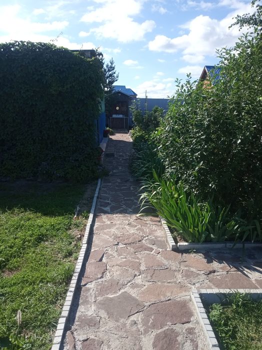 Сдам уютные срубы..