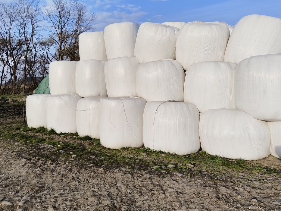 Vand baloti de lucerna infoliati