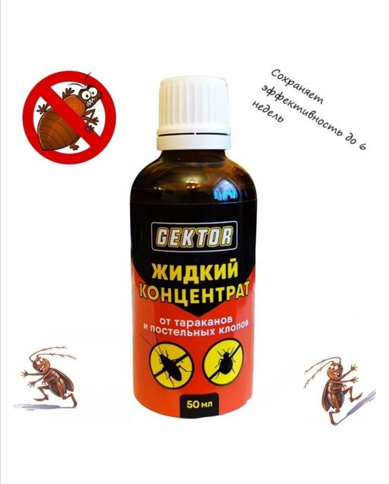 Порошок gektor против тараканов флакон 500мл. Порошок gektor против тараканов 500 мл. Средство от клопов гектор. Гектор жидкий концентрат. Гектор против клопов.