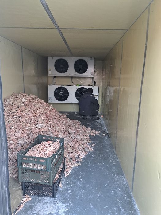 Реф камеры холодильные марозильные