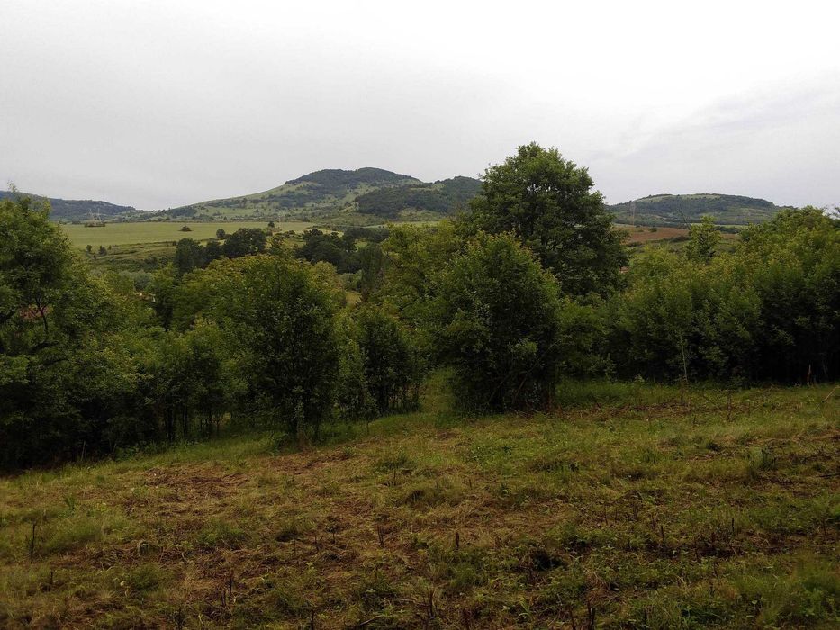 Продава се Къща в с. Черкаски, Област Монтана - 90 кв.м за 748 €/кв.м - Снимка #10