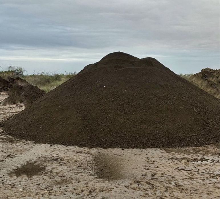 Pamant negru vegetal