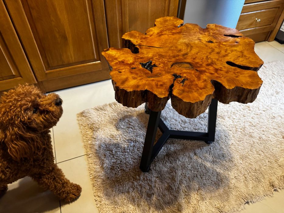 Масивни маси от естествено дърво – качество, стил и дълговечност.