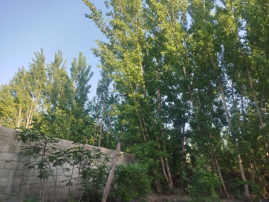 3 xonali uy sotiladi