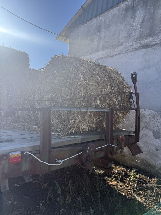 Vând baloți de tocătură de tulei 120/120