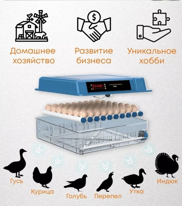 Inkubator yangi ishlatilmagan 9tali