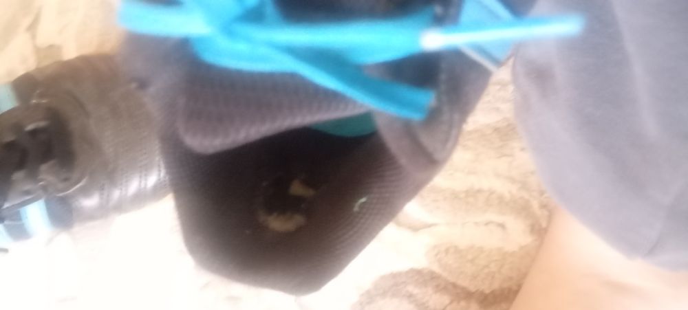 Две кроссовки  для повседневной