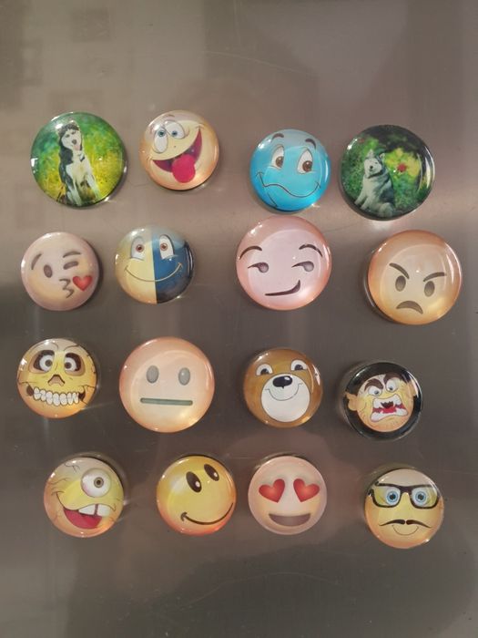 Lot 16 magneti frigider