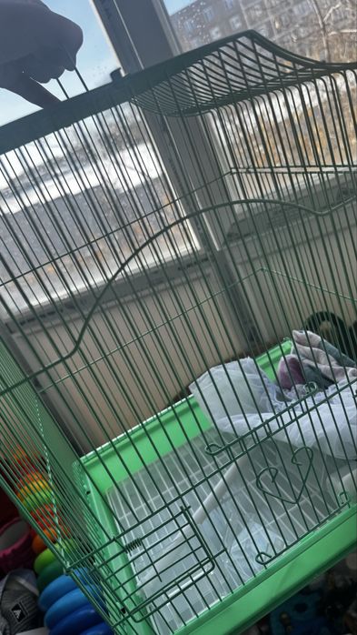 Клетка для попугая