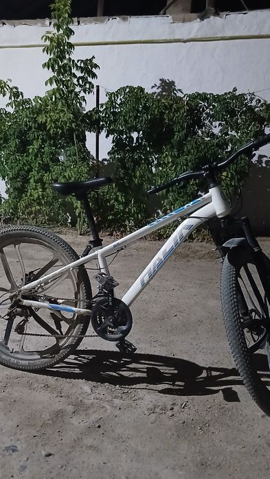 Белый горный велик