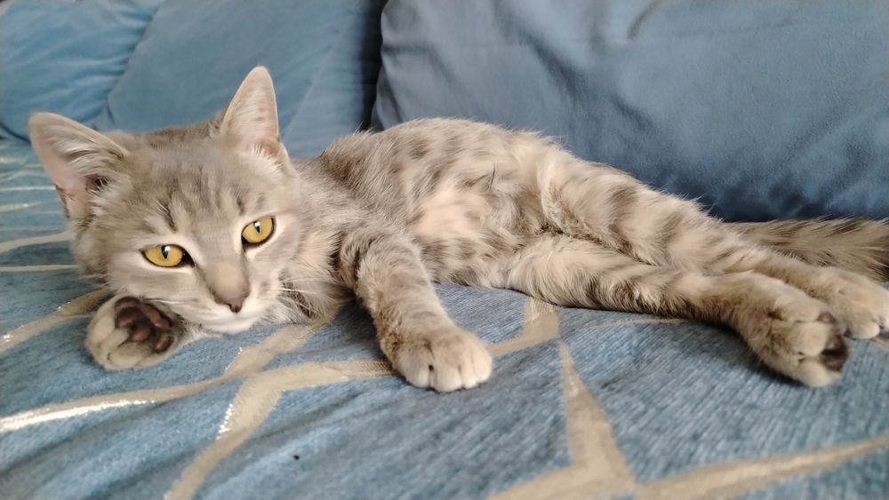 Мальчик 4 месяца