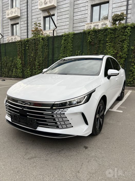 Byd chazor full flagship