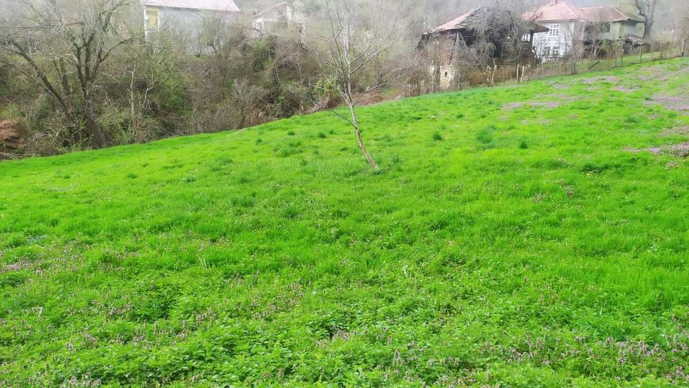 Продава се Парцел в с. Войнежа, Област Велико Търново - 2167 кв.м за 7 €/кв.м - Снимка #12