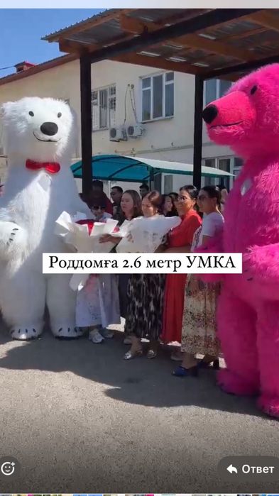 Мишка Тедди Аниматор Умка Прокат