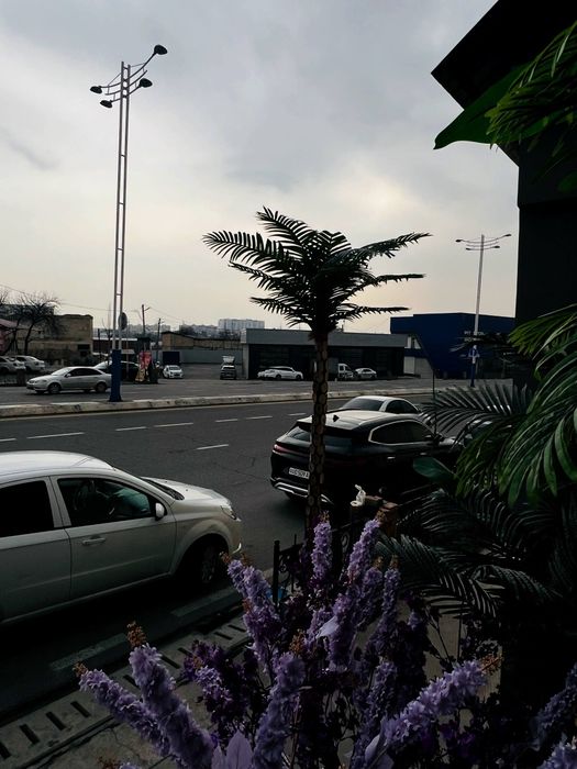 Искусственные цветы и деревья.