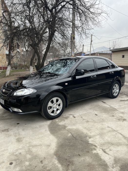 Жентира 2023 краска тозза