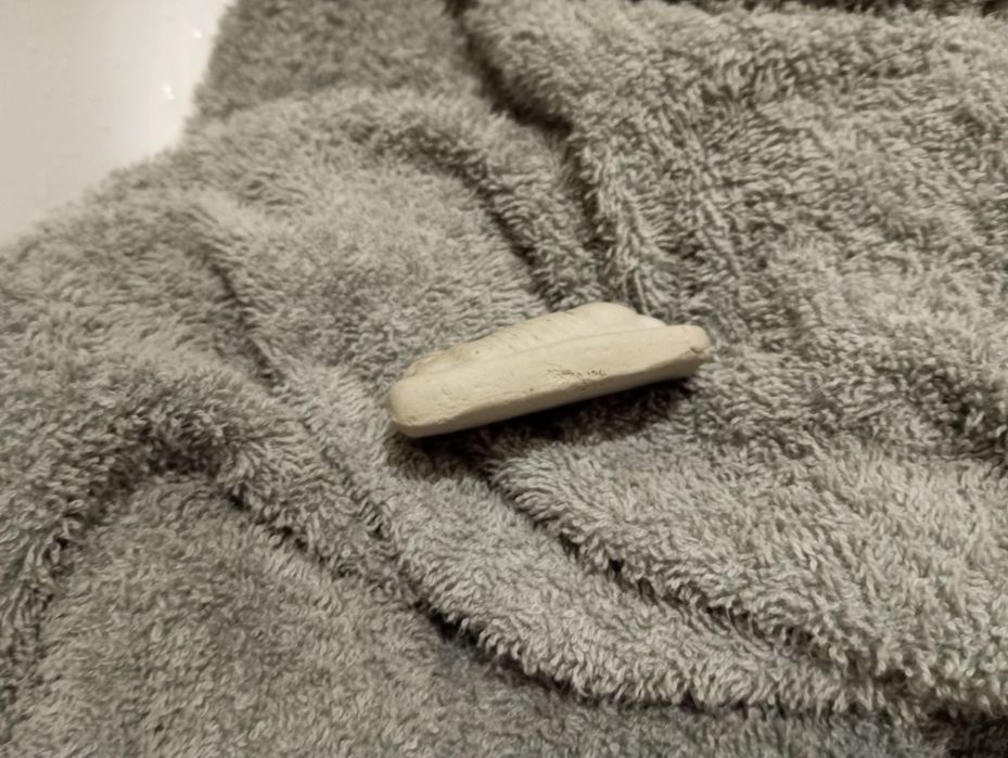 Трилобит-Trilobite