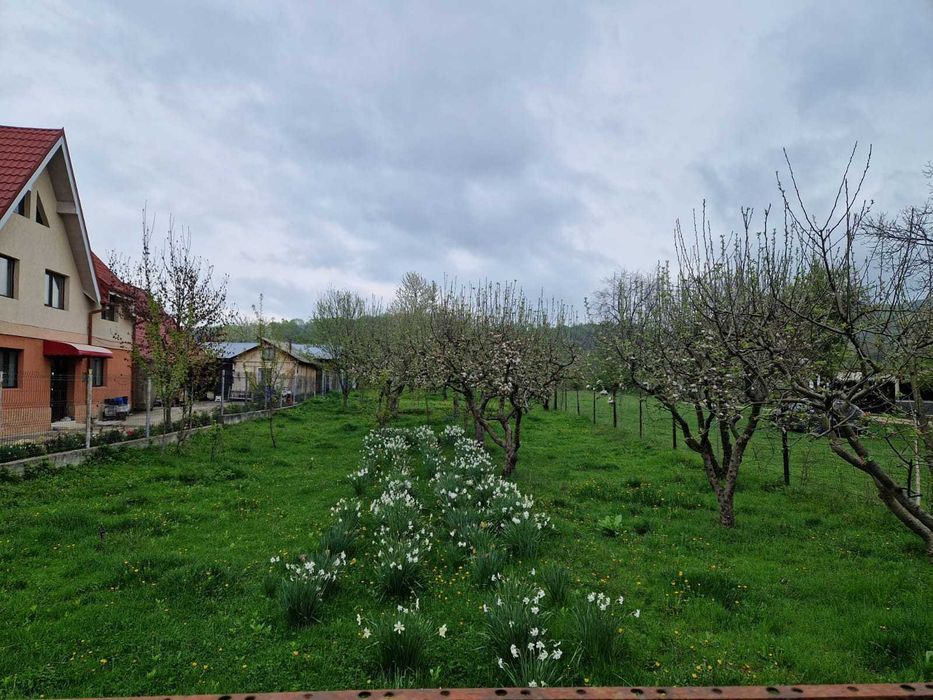 Vand teren intravilan Pucioasa, jud Dambovita