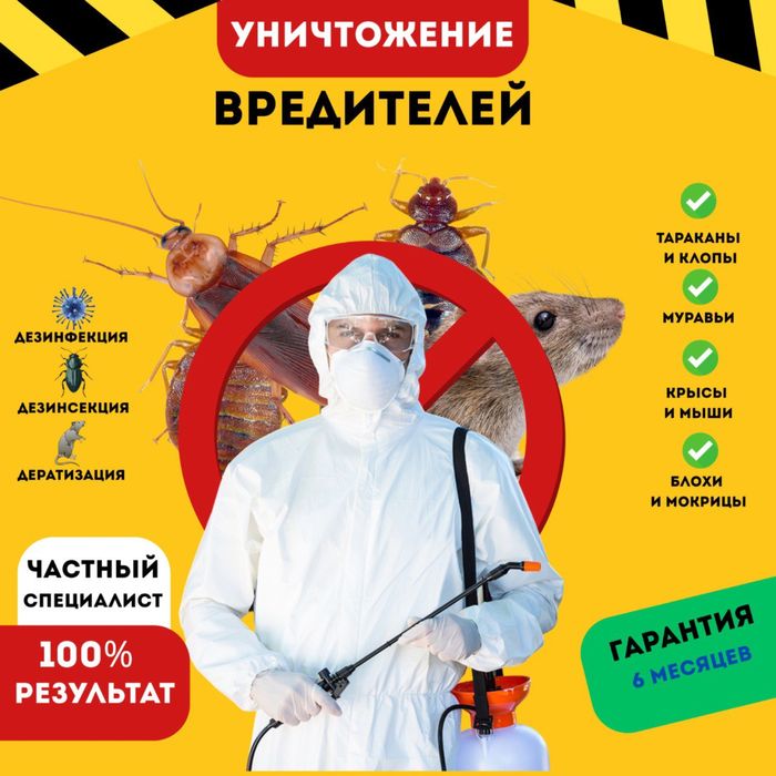 Обработка против Клопов Тараканов и Насекомых