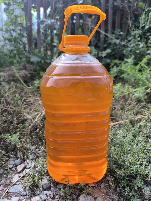 Мёд. Тарбағатай балы