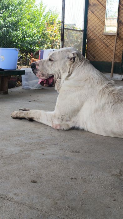 Кабель на вязку супер тяж