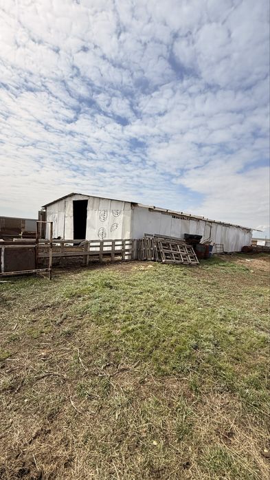 Продам хозяйство