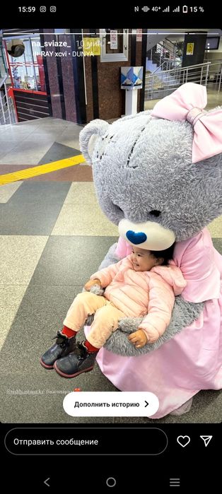 Прокат костюмов Тедди мишки