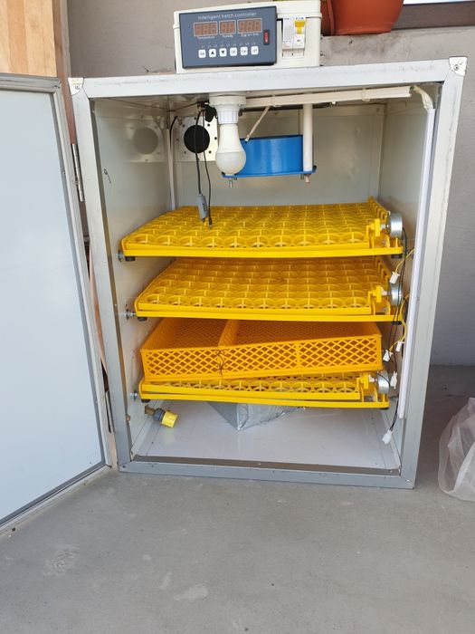 Incubator de 300 de oua