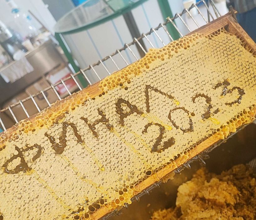 100% Натурален пчелен мед от производител !