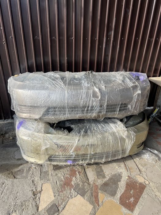 Морда Миниморда Ноускат Альфард