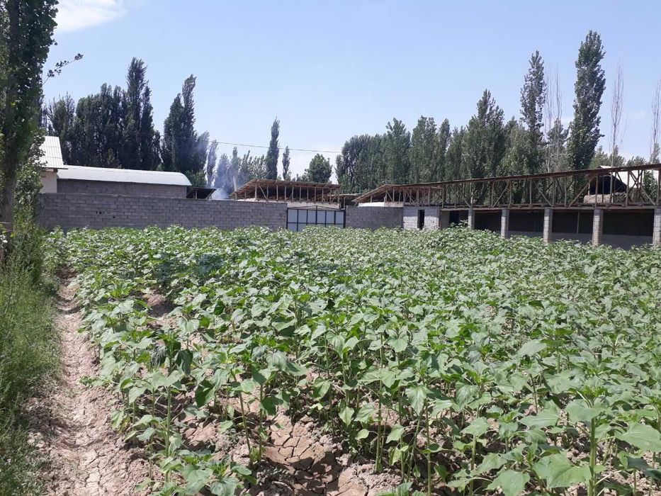 Ko'chmas mulk kafolati bilan